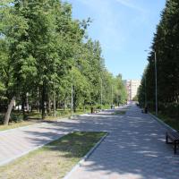 Сквер ул. Молодёжная-Макеева, Миасс - ООО МиассДорСтрой - Строительство дорог и аренда строительной техники